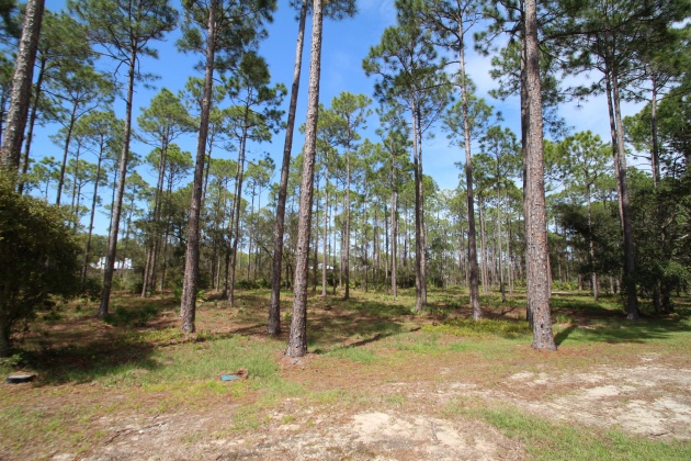 Panama City Beach, Florida 32413, ,Land,For Sale,Riverhouse,868798