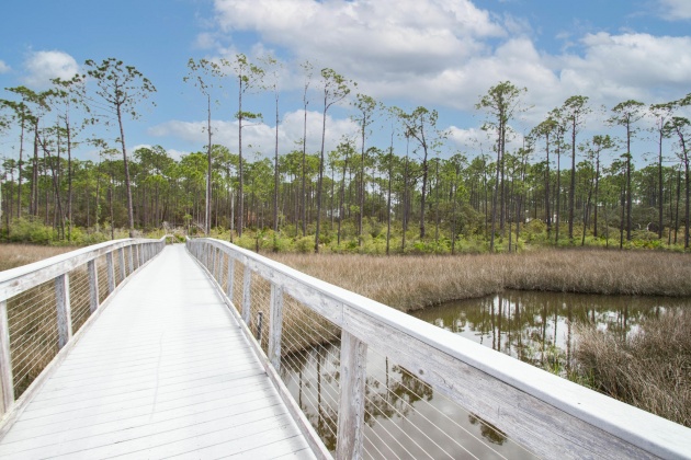 Panama City Beach, Florida 32413, ,Land,For Sale,Riverhouse,868798