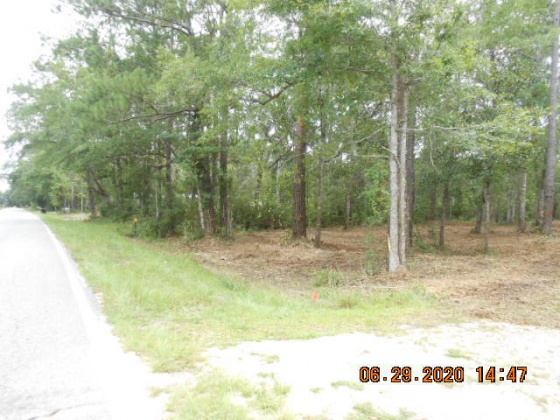 Freeport, Florida 32439, ,Land,For Sale,McDaniels Fishcamp,868832