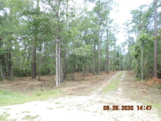 Freeport, Florida 32439, ,Land,For Sale,McDaniels Fishcamp,868832