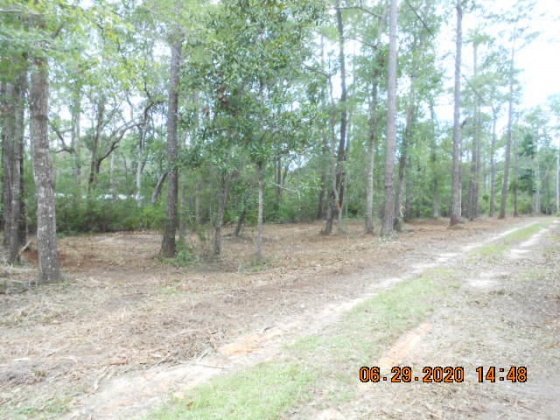Freeport, Florida 32439, ,Land,For Sale,McDaniels Fishcamp,868832