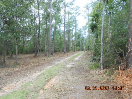 Freeport, Florida 32439, ,Land,For Sale,McDaniels Fishcamp,868832