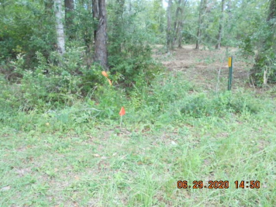 Freeport, Florida 32439, ,Land,For Sale,McDaniels Fishcamp,868832