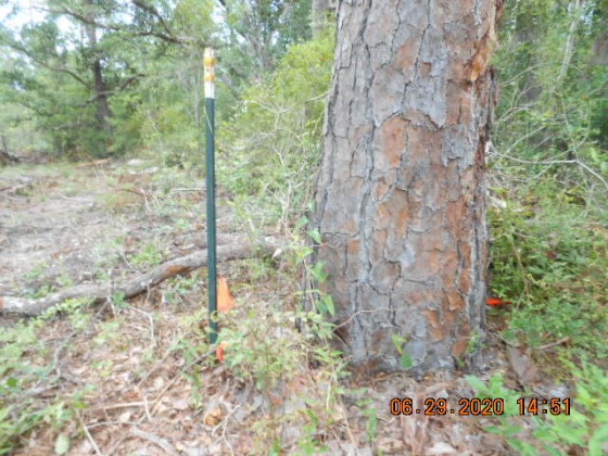 Freeport, Florida 32439, ,Land,For Sale,McDaniels Fishcamp,868832