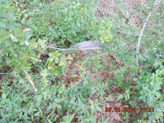 Freeport, Florida 32439, ,Land,For Sale,McDaniels Fishcamp,868832