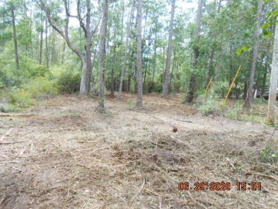 Freeport, Florida 32439, ,Land,For Sale,McDaniels Fishcamp,868832