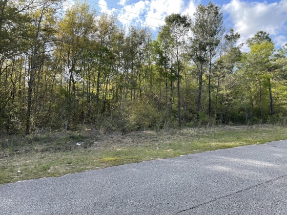 Crestview, Florida 32539, ,Land,For Sale,Clint Mason,868834