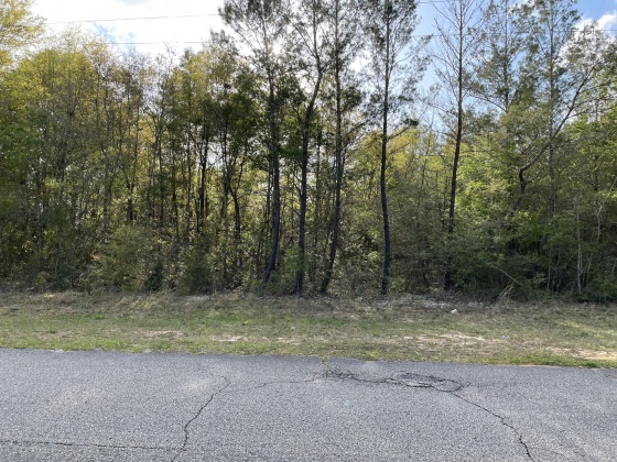 Crestview, Florida 32539, ,Land,For Sale,Clint Mason,868834