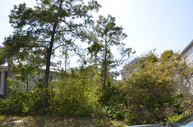 Miramar Beach, Florida 32550, ,Land,For Sale,Lakeland,868878