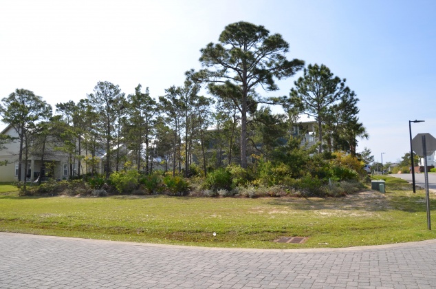 Miramar Beach, Florida 32550, ,Land,For Sale,Miami,868881