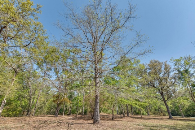 Milton, Florida 32583, ,Land,For Sale,Nowling,868884