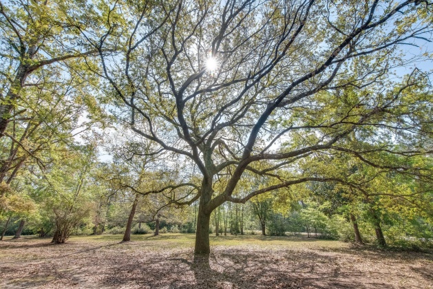 Milton, Florida 32583, ,Land,For Sale,Nowling,868884