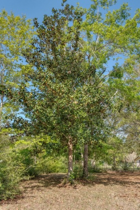 Milton, Florida 32583, ,Land,For Sale,Nowling,868884