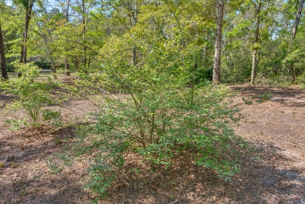 Milton, Florida 32583, ,Land,For Sale,Nowling,868884