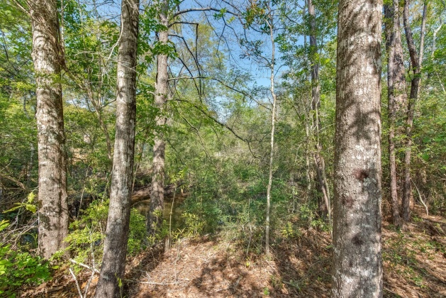 Milton, Florida 32583, ,Land,For Sale,Nowling,868884