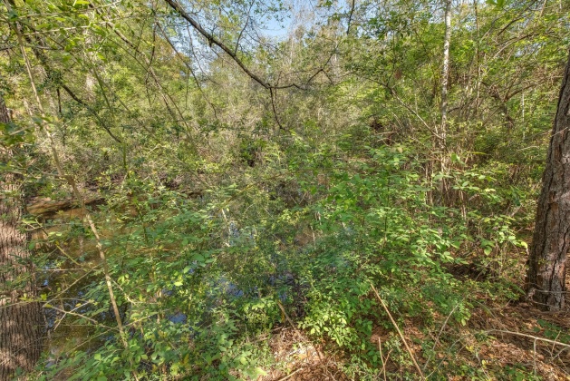 Milton, Florida 32583, ,Land,For Sale,Nowling,868884