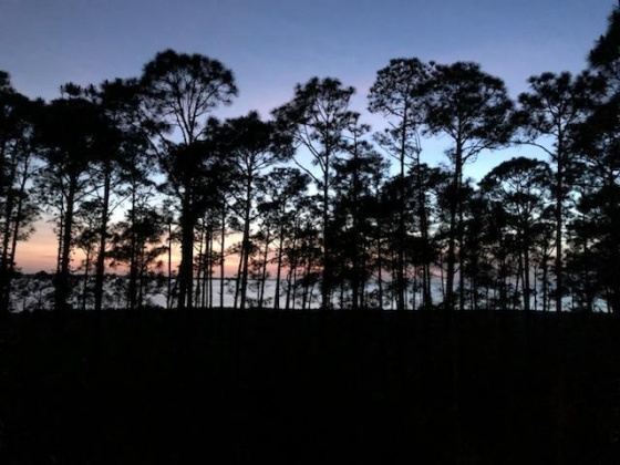 Miramar Beach, Florida 32550, 1 Bedroom Bedrooms, ,1 BathroomBathrooms,Residential,For Sale,Grand Sandestin,868937