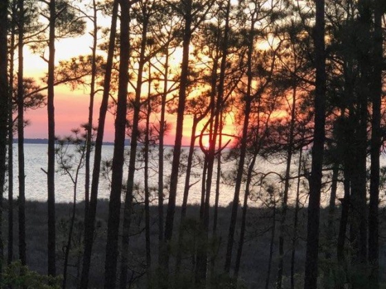 Miramar Beach, Florida 32550, 1 Bedroom Bedrooms, ,1 BathroomBathrooms,Residential,For Sale,Grand Sandestin,868937