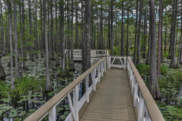 Santa Rosa Beach, Florida 32459, 4 Bedrooms Bedrooms, ,4 BathroomsBathrooms,Residential,For Sale,Cypress,868939