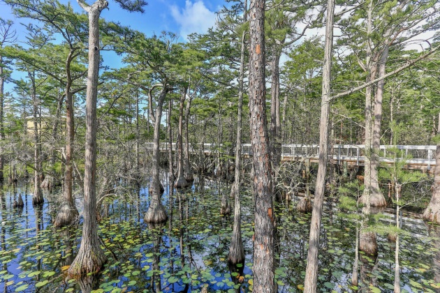 Santa Rosa Beach, Florida 32459, 4 Bedrooms Bedrooms, ,4 BathroomsBathrooms,Residential,For Sale,Cypress,868939