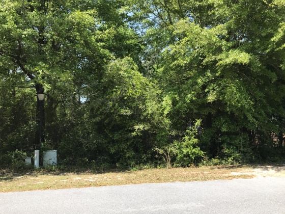 Defuniak Springs, Florida 32433, ,Land,For Sale,Magnolia Lake,796035