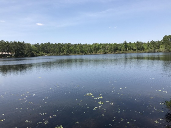 Defuniak Springs, Florida 32433, ,Land,For Sale,Magnolia Lake,796035