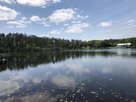 Defuniak Springs, Florida 32433, ,Land,For Sale,Magnolia Lake,796035