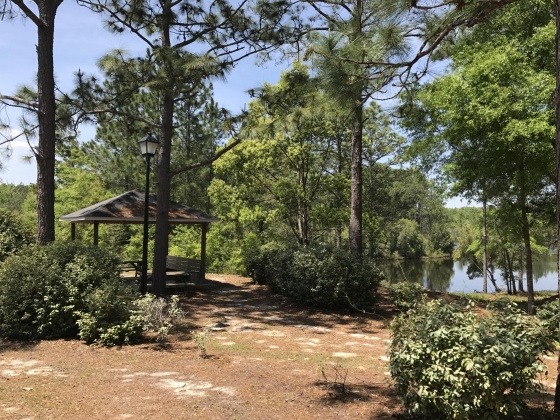 Defuniak Springs, Florida 32433, ,Land,For Sale,Magnolia Lake,796035