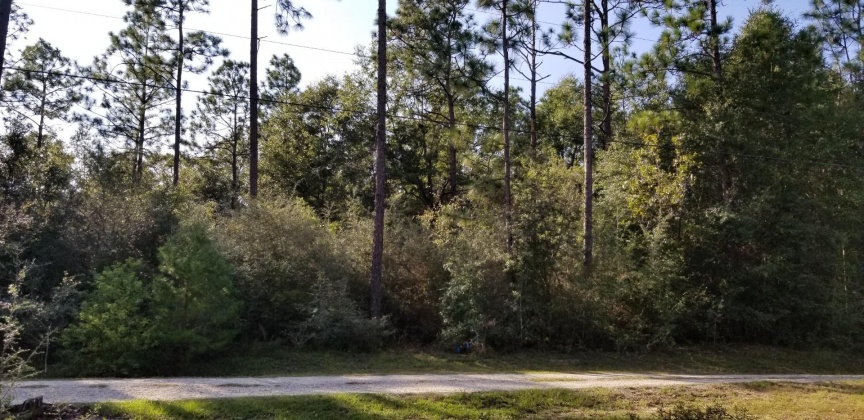 Crestview, Florida 32536, ,Land,For Sale,Dogwood,857941