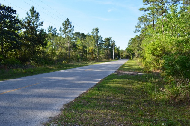 Santa Rosa Beach, Florida 32459, 5 Bedrooms Bedrooms, ,5 BathroomsBathrooms,Residential,For Sale,Adair,869075