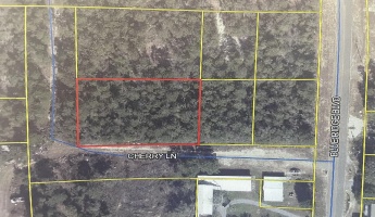 Defuniak Springs, Florida 32433, ,Land,For Sale,Cherry,869066