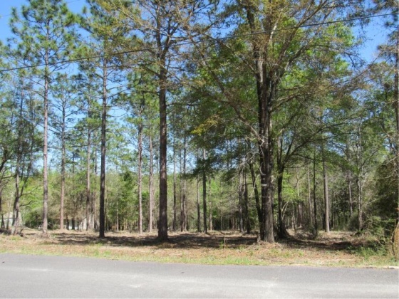 Crestview, Florida 32539, ,Land,For Sale,Mockingbird Hill Court,869089