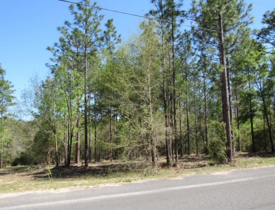 Crestview, Florida 32539, ,Land,For Sale,Mockingbird Hill Court,869089