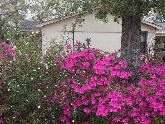 Defuniak Springs, Florida 32435, 3 Bedrooms Bedrooms, ,2 BathroomsBathrooms,Residential,For Sale,Bay,869100