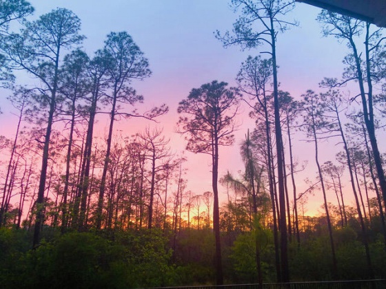 Santa Rosa Beach, Florida 32459, 4 Bedrooms Bedrooms, ,4 BathroomsBathrooms,Residential,For Sale,Sandgrass,869101