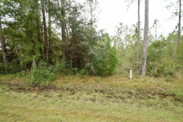 Freeport, Florida 32439, ,Land,For Sale,Co Highway 3280,857641