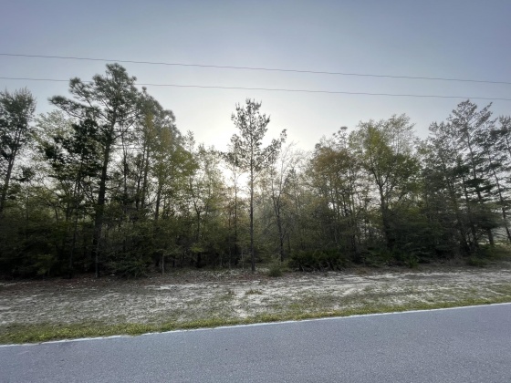 Defuniak Springs, Florida 32435, ,Land,For Sale,High Lonesome,869106