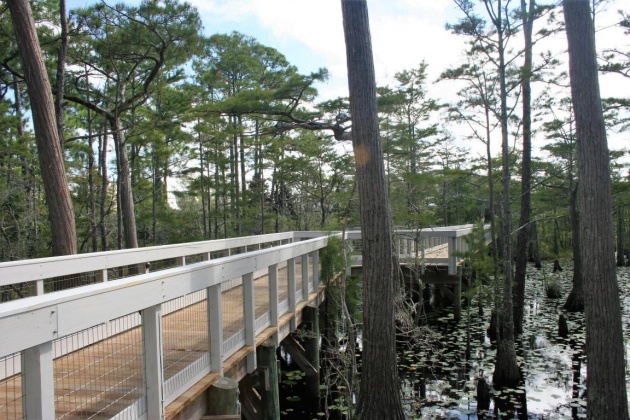 Santa Rosa Beach, Florida 32459, ,Land,For Sale,Cypress,869110