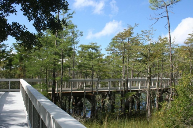 Santa Rosa Beach, Florida 32459, ,Land,For Sale,Cypress,869110