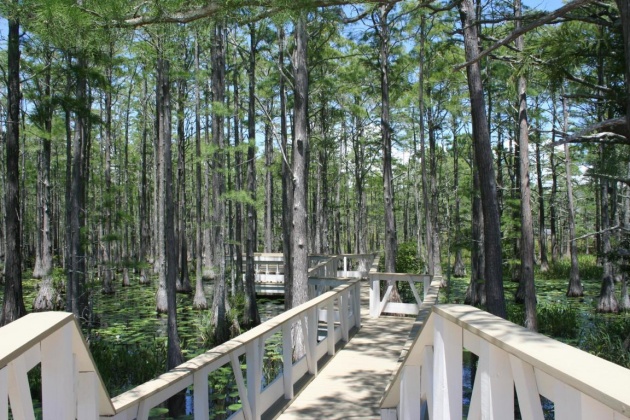 Santa Rosa Beach, Florida 32459, ,Land,For Sale,Cypress,869110