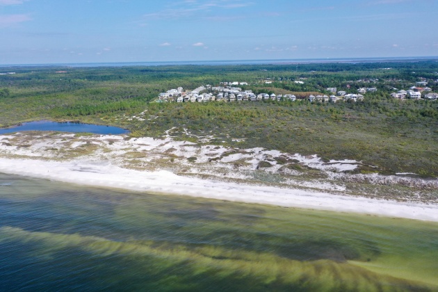 Santa Rosa Beach, Florida 32459, ,Land,For Sale,Cypress,869110