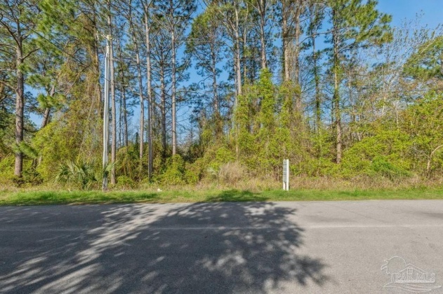 Santa Rosa Beach, Florida 32459, ,Land,For Sale,Blue Gulf,869187
