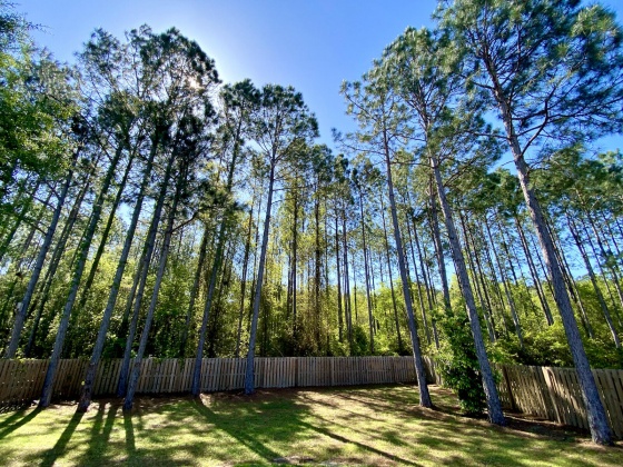 Freeport, Florida 32439, 3 Bedrooms Bedrooms, ,2 BathroomsBathrooms,Residential,For Sale,Symphony,868266