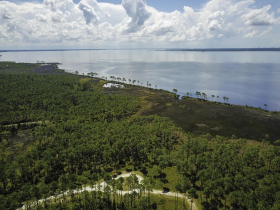 Panama City Beach, Florida 32413, ,Land,For Sale,Preservation,869161