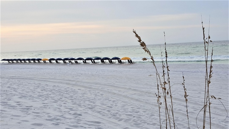 Miramar Beach, Florida 32550, 2 Bedrooms Bedrooms, ,2 BathroomsBathrooms,Residential,For Sale,Scenic Gulf,869170