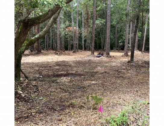 Santa Rosa Beach, Florida 32459, ,Land,For Sale,Osprey Cove,849302