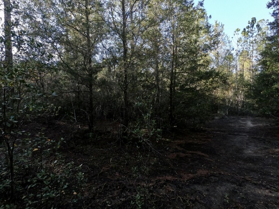 Holt, Florida 32564, ,Land,For Sale,Leisure,860322