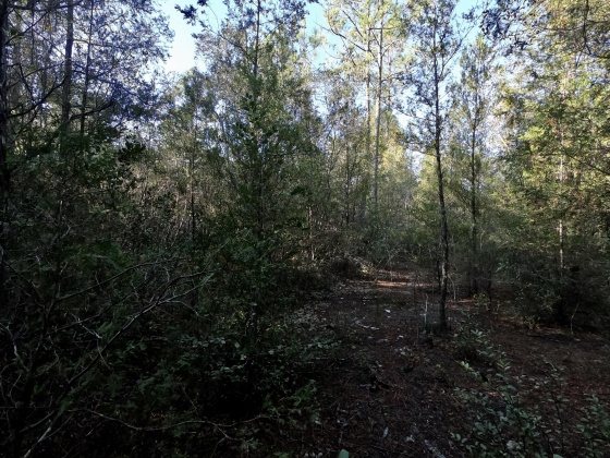 Holt, Florida 32564, ,Land,For Sale,Leisure,860322