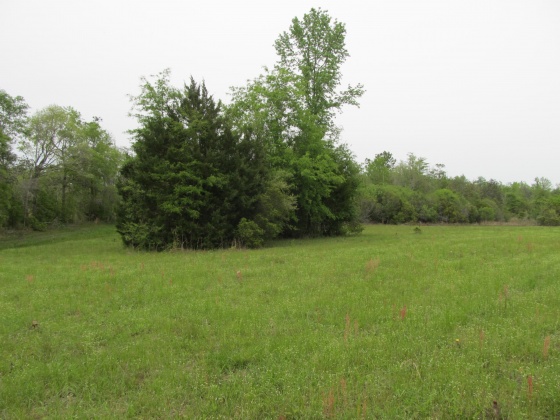 Westville, Florida 32464, ,Land,For Sale,Gillman Rd,869242