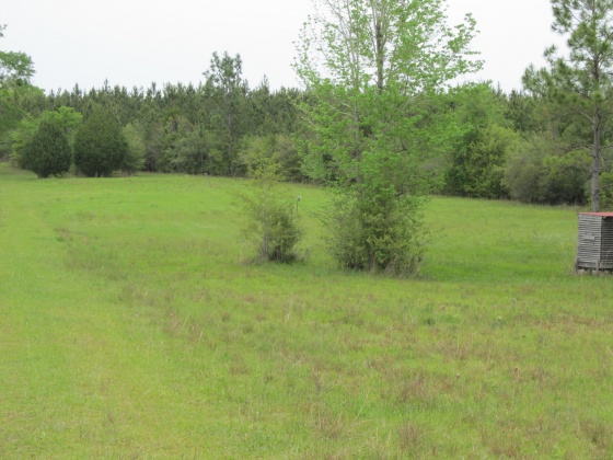 Westville, Florida 32464, ,Land,For Sale,Gillman Rd,869242